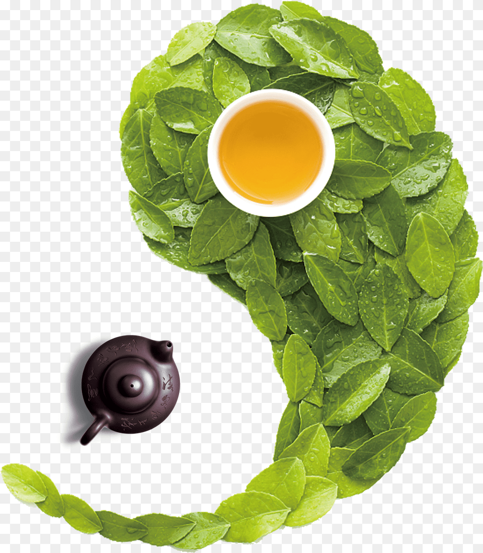 Green Tea Ying Yang Tea, Elf, Cartoon, Baby, Person Free Transparent Png