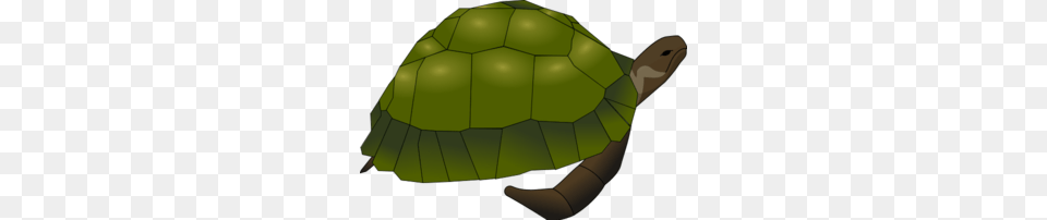 Green Tortoise Vector Clip Art, Animal, Reptile, Sea Life, Turtle Png Image