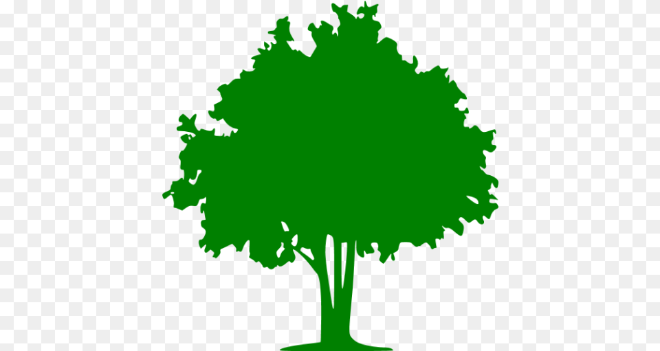 Green Tree 32 Icon Tree Icon, Oak, Plant, Sycamore, Vegetation Png Image
