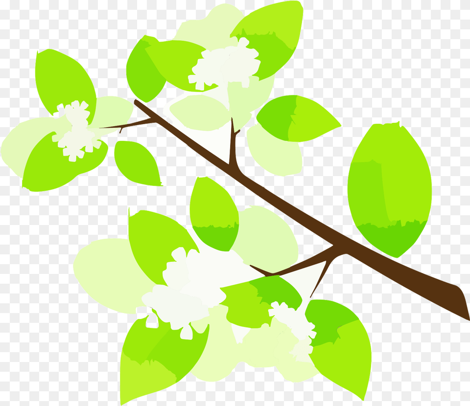 Green Tree Branch Icon Svg Vector Twig, Leaf, Plant, Flower, Art Free Transparent Png