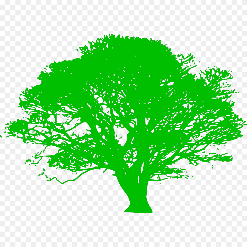 Green Tree Branch Svg Clip Art For Web Download Clip Silhouette Of Oak Tree, Plant, Sycamore, Vegetation Free Png