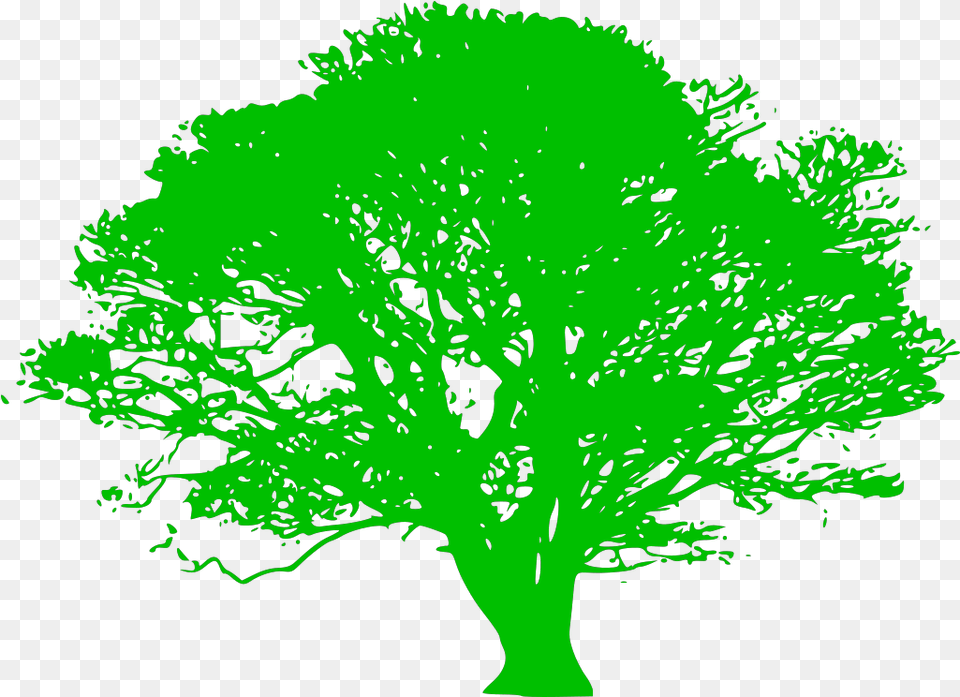 Green Tree Branch Svg Clip Art For Web Download Clip Tree Silhouette, Oak, Plant, Sycamore, Vegetation Free Png