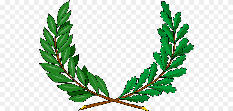 Green Tree Branches Cartoon Peace Vine Greek Vine Coat Of Arms, Herbal, Herbs, Leaf, Plant Free Png