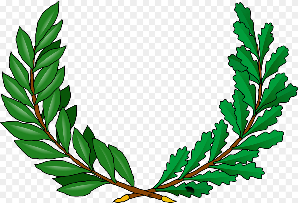 Green Tree Branches Cartoon Peace Vine Greek Vine Coat Of Arms, Leaf, Plant, Person, Vegetation Png