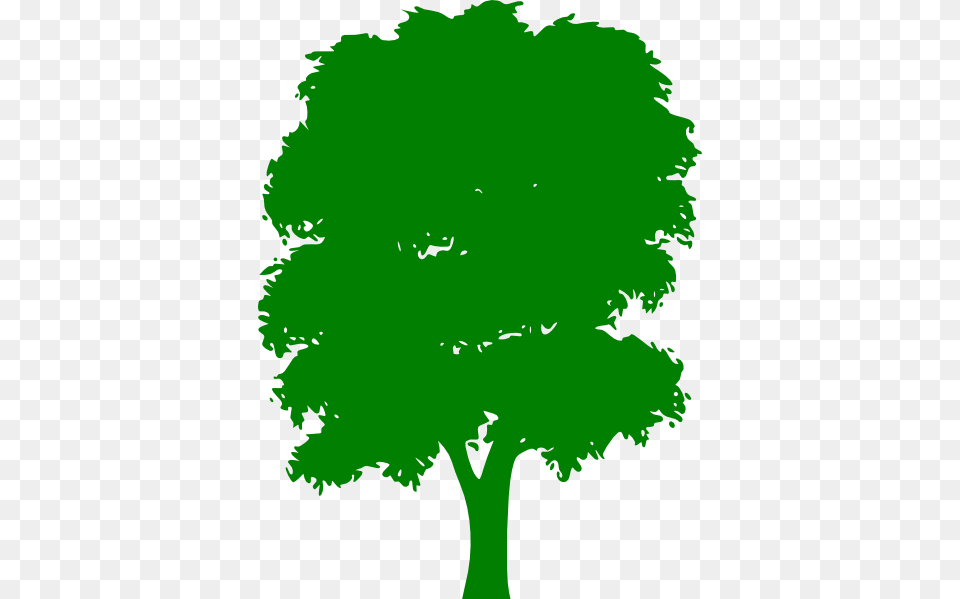 Green Tree Clip Art, Oak, Plant, Sycamore, Person Free Png Download
