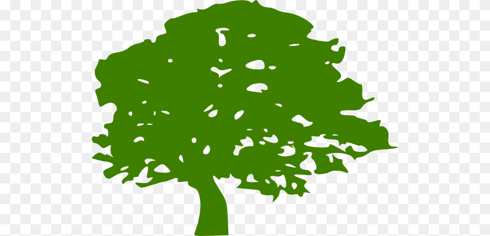 Green Tree Clip Art, Oak, Plant, Sycamore, Animal Png