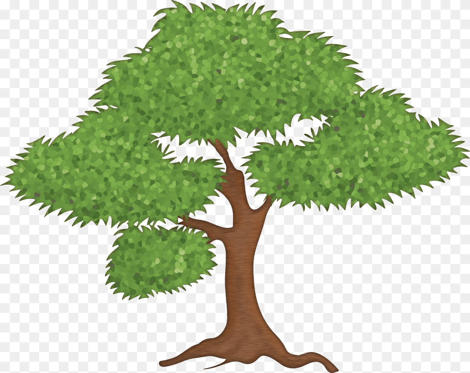 Green Tree Clipart Png