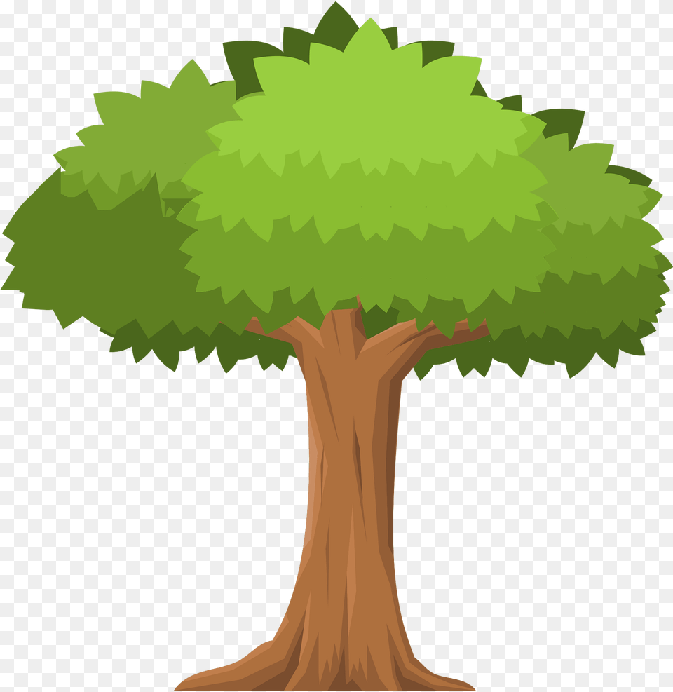 Green Tree Clipart, Plant, Vegetation, Potted Plant, Woodland Png