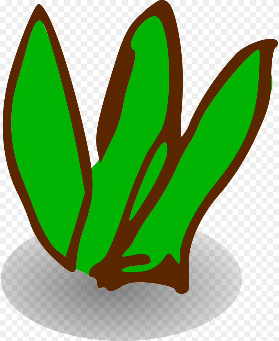 Green Tree Clipart, Leaf, Plant, Flower, Bud Free Png