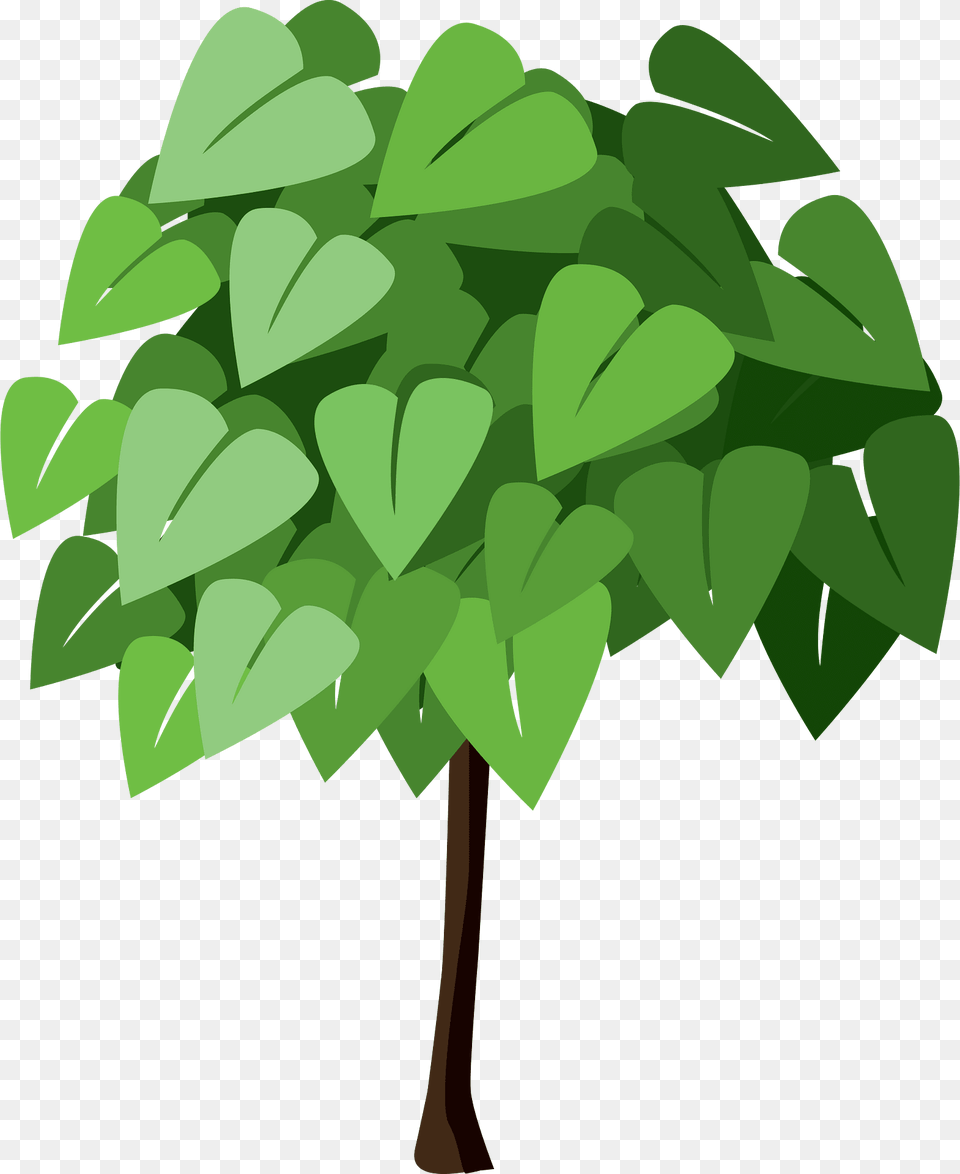 Green Tree Clipart, Leaf, Plant, Potted Plant, Herbal Png