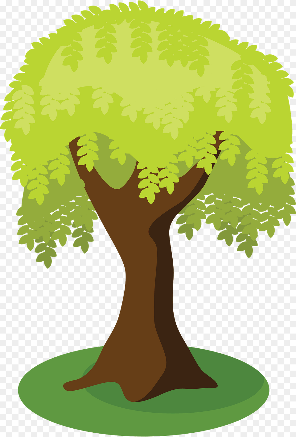 Green Tree Clipart, Plant, Vegetation, Tree Trunk, Land Png