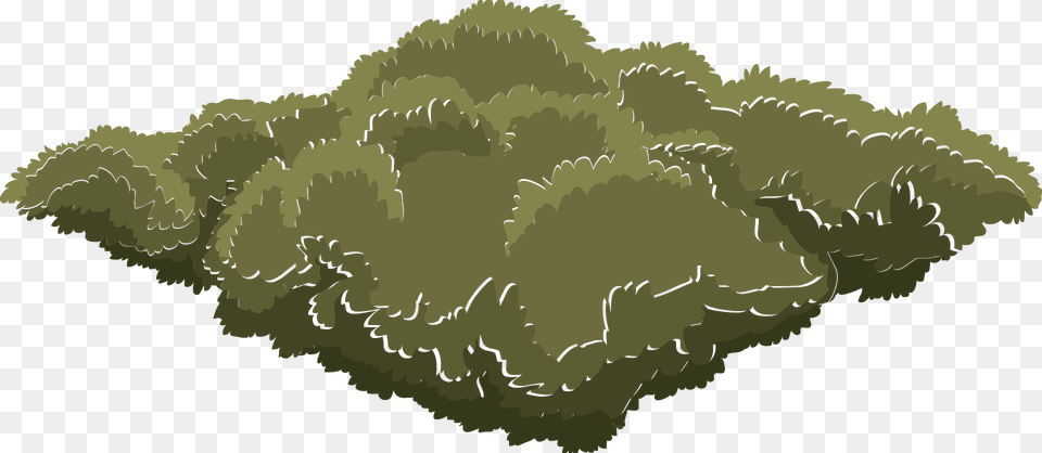 Green Tree Crown Clipart, Nature, Outdoors, Land, Cloud Png