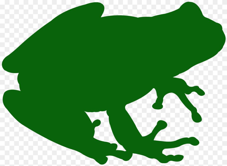 Green Tree Frog Silhouette, Amphibian, Animal, Wildlife, Bear Png