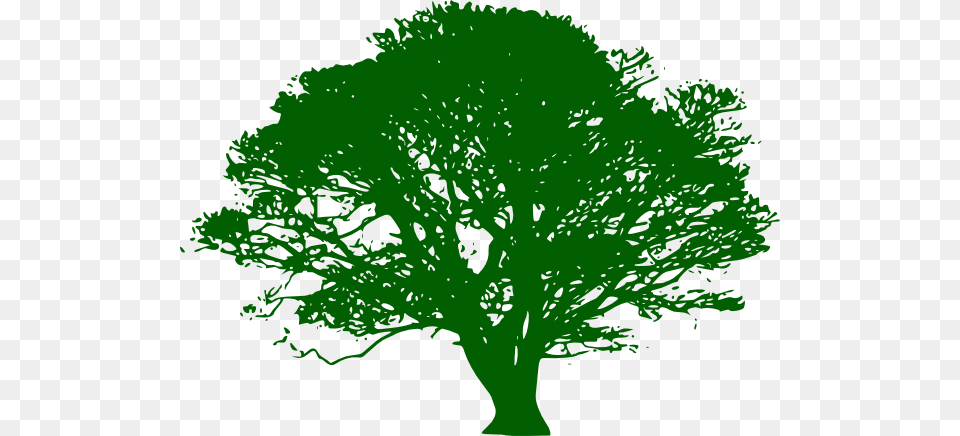 Green Tree Hi Tree Silhouette Green, Oak, Plant, Sycamore, Tree Trunk Free Png