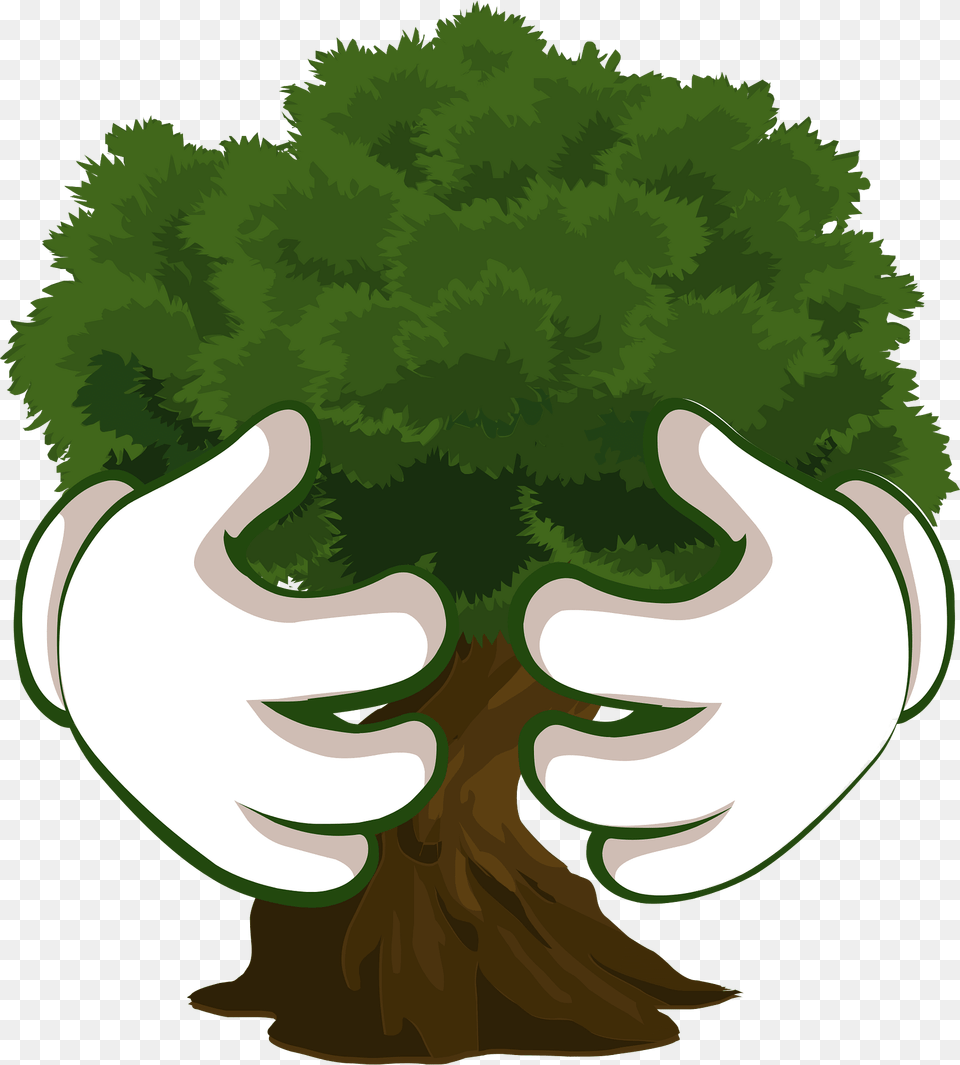 Green Tree Hug Clipart, Moss, Plant, Vegetation, Baby Free Png Download