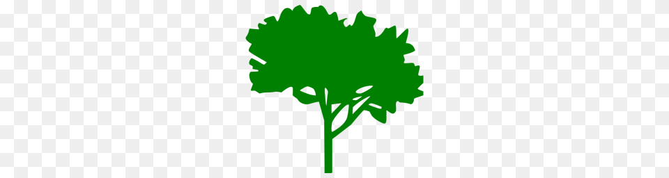 Green Tree Icon Png