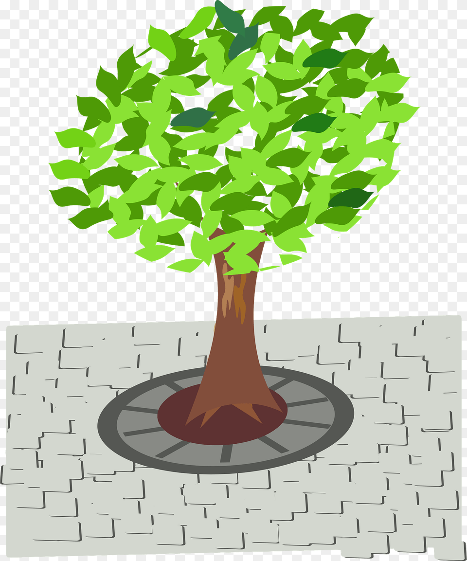 Green Tree In The Sidewalk Clipart, Plant, Potted Plant, Path, Art Png Image