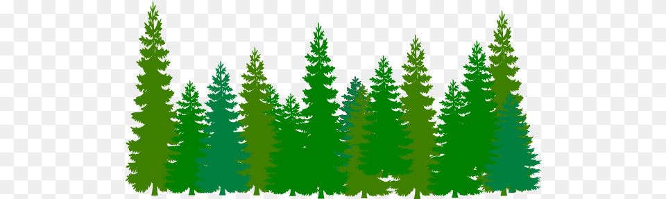 Green Tree Line Clip Art Pine Trees Silhouette, Conifer, Fir, Plant, Vegetation Free Png Download