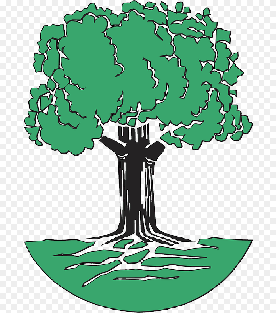 Green Tree Roots Cartoon Trees Plant Leaves Oak Tree Clip Art, Person, Drawing, Vegetation Free Png