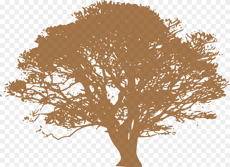 Green Tree Silhouette, Oak, Plant, Sycamore, Potted Plant Free Transparent Png