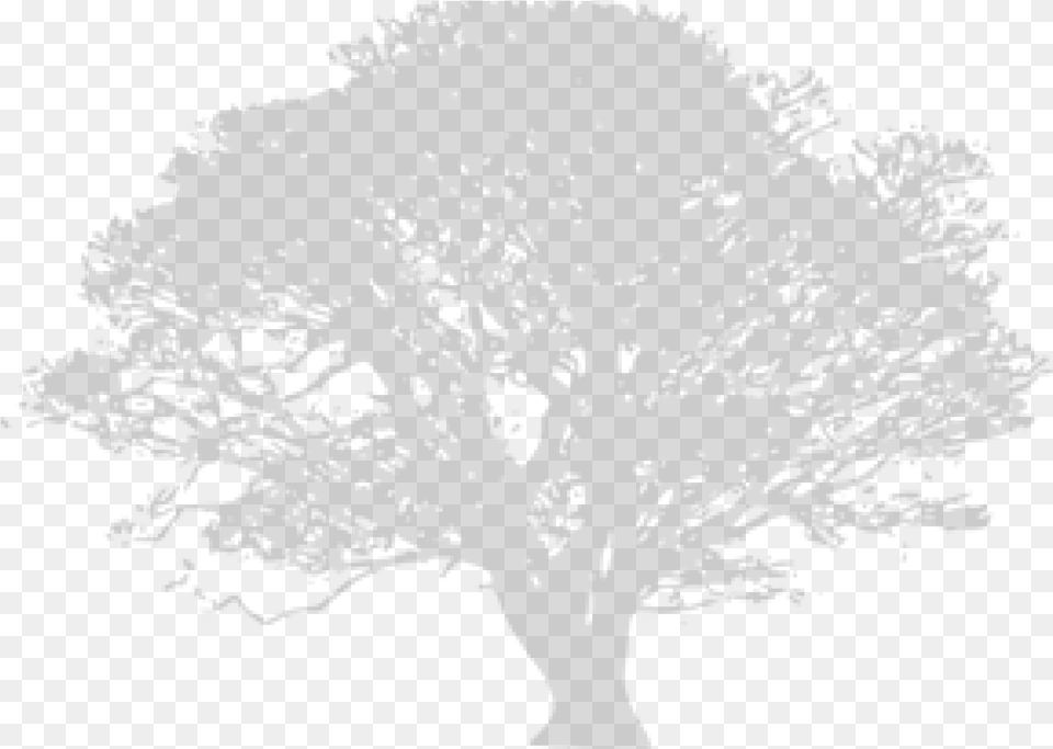 Green Tree Silhouette, Gray Png