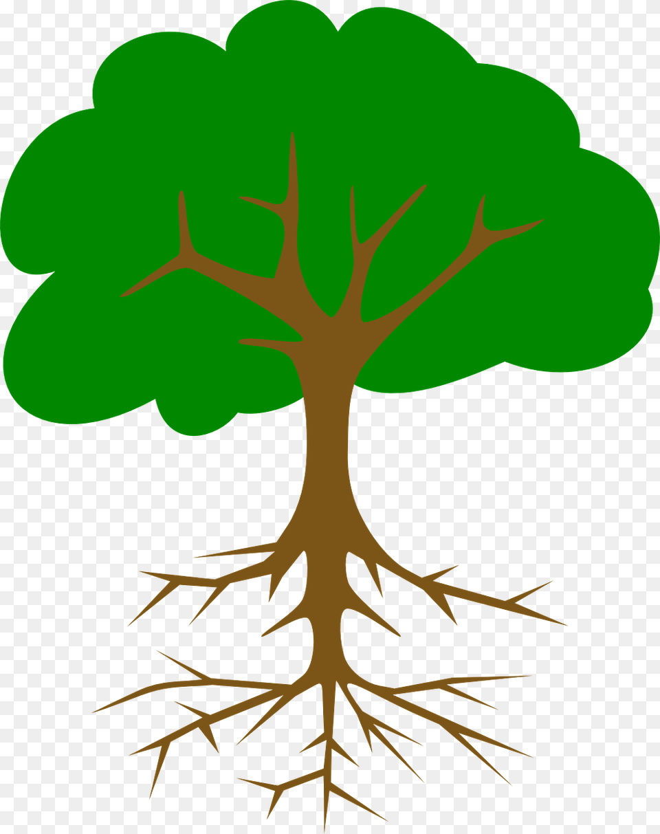Green Tree Vector, Leaf, Plant, Root Free Transparent Png