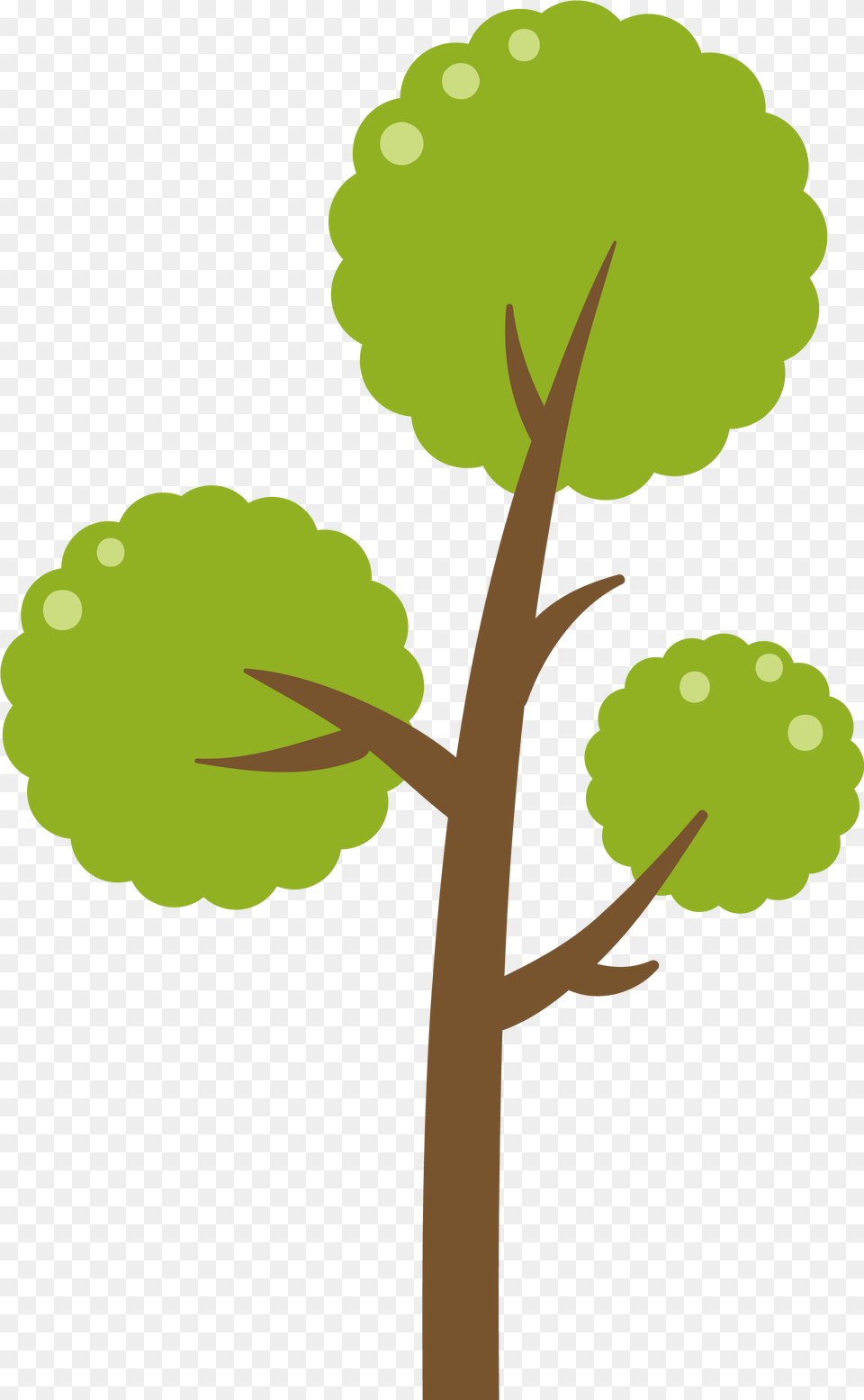 Green Tree Vector Diagram Download Tree Vector No Background, Leaf, Plant, Flower, Vegetation Free Png