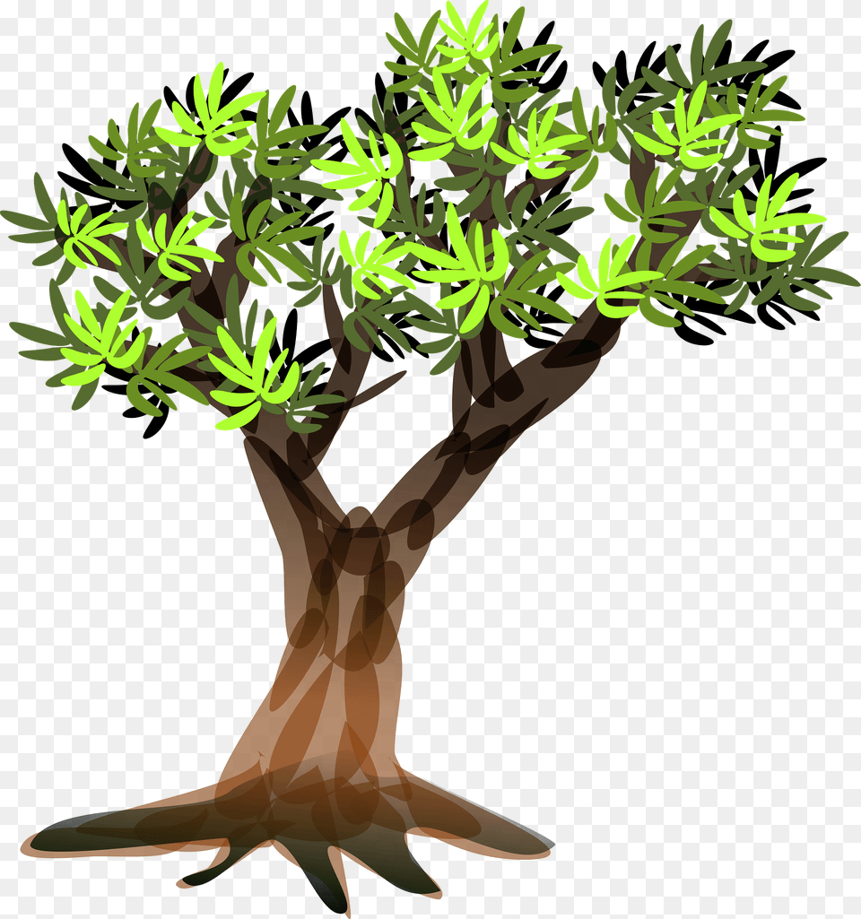Green Tree With Leaves Clipart, Plant, Potted Plant, Vegetation, Conifer Free Png