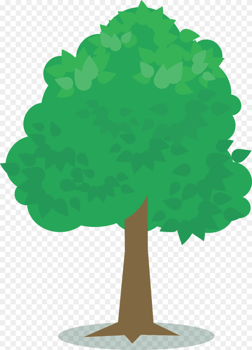 Green Tree With Leaves Clipart, Woodland, Vegetation, Sycamore, Plant Png