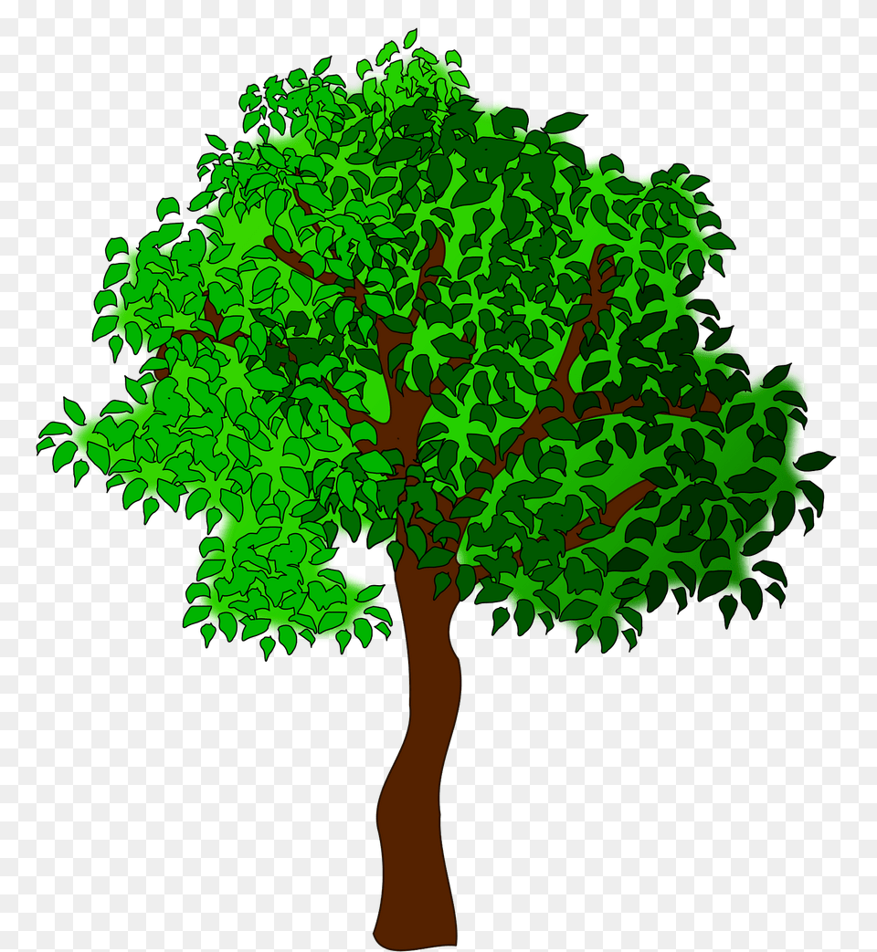 Green Tree With Leaves Clipart, Oak, Plant, Sycamore, Tree Trunk Free Transparent Png
