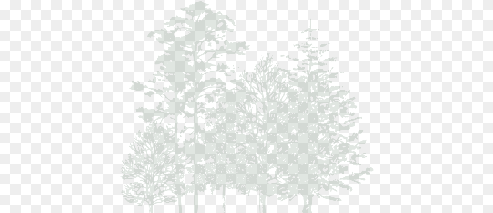 Green Trees Omaha Home For Boys, Tree, Fir, Plant, Person Png Image