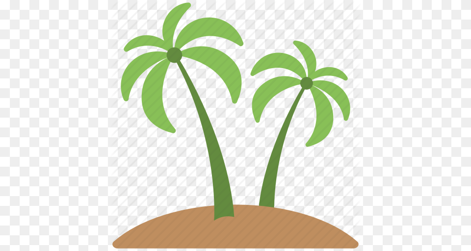 Green Trees Palm Palm Trees Soil Trees Icon, Leaf, Palm Tree, Plant, Tree Free Png Download