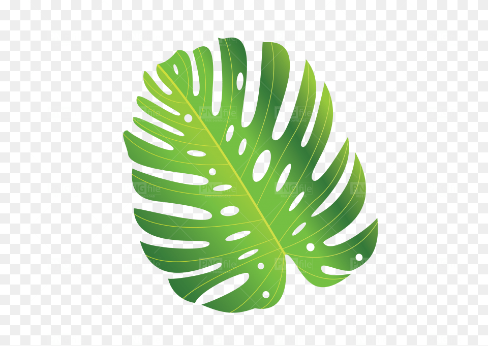 Green Tropical Leave Download Illustration, Leaf, Vegetation, Plant, Outdoors Free Png
