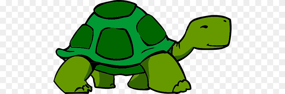 Green Turtle Fixed Clip Art, Animal, Reptile, Sea Life, Tortoise Free Transparent Png