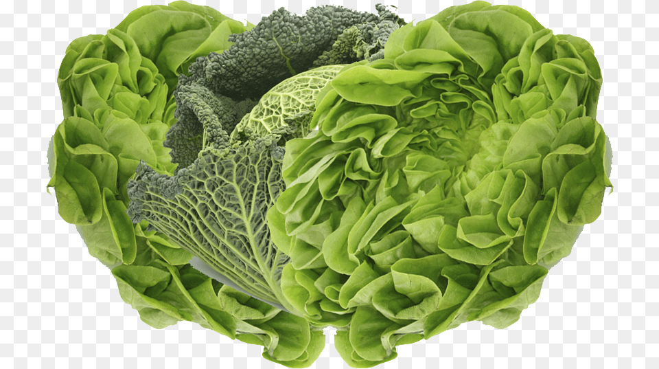 Green Vegetable, Food, Produce, Leafy Green Vegetable, Plant Png
