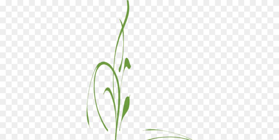 Green Vine Cliparts Vine Flowers Transparent, Plant, Grass, Flower Png Image