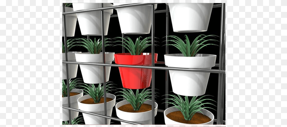 Green Walls Flowerpot, Jar, Plant, Planter, Potted Plant Png