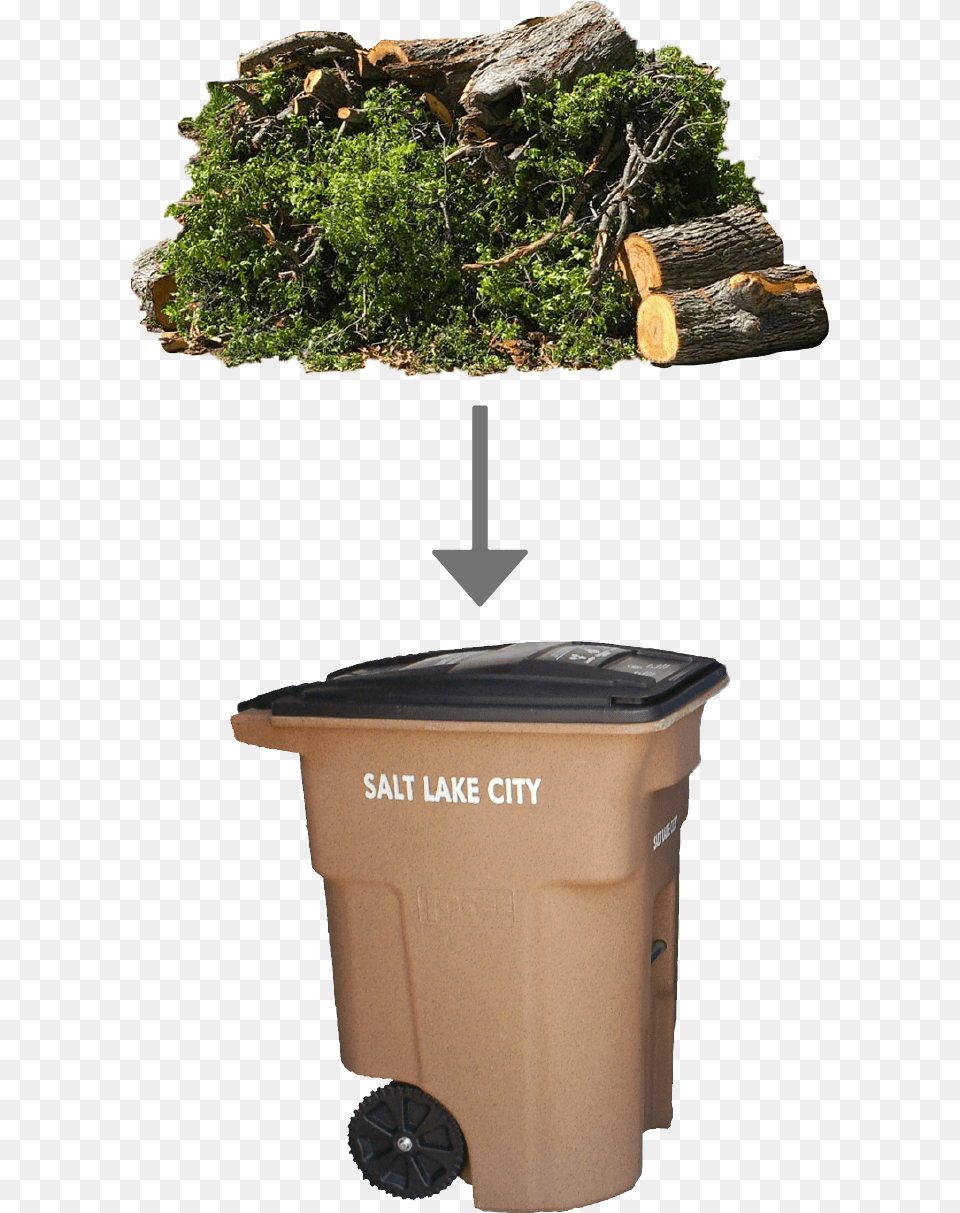 Green Waste Belongs In The Brown Compost Bin Christmas Tree, Plant, Wood, Machine, Wheel Free Transparent Png