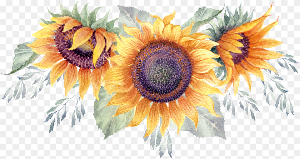 Green Watercolor Hand Painted Sunflower Transparent, Flower, Plant Free Png