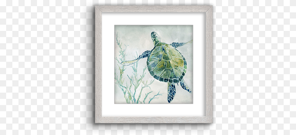 Green Watercolor Turtle 02 Green Sea Turtle, Animal, Reptile, Sea Life, Sea Turtle Png Image