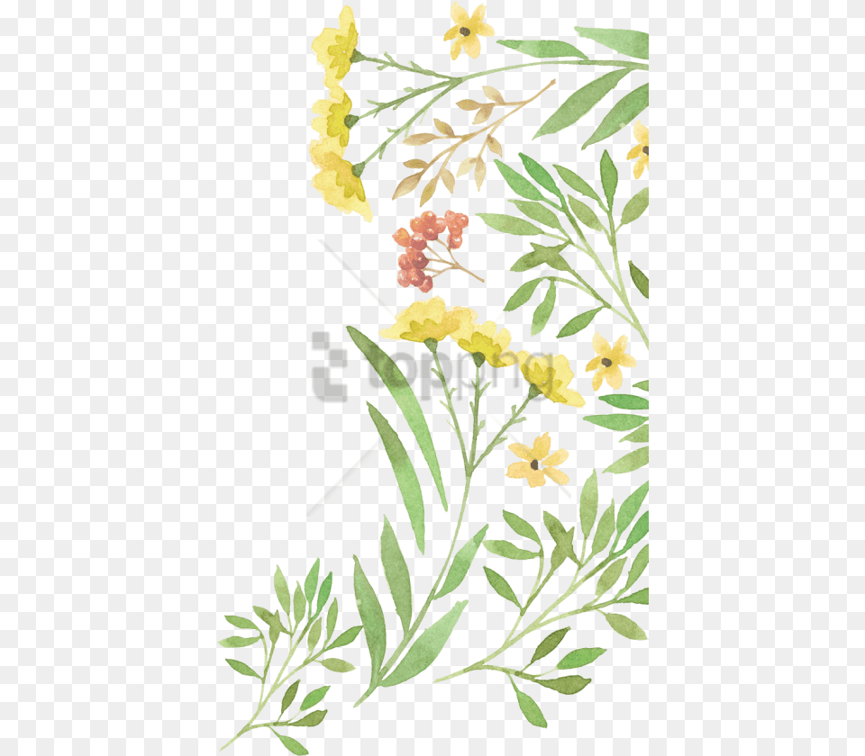 Green Watercolour Flower Image With Transparent No Background Watercolor Green Flowers, Art, Plant, Pattern, Herbs Free Png Download