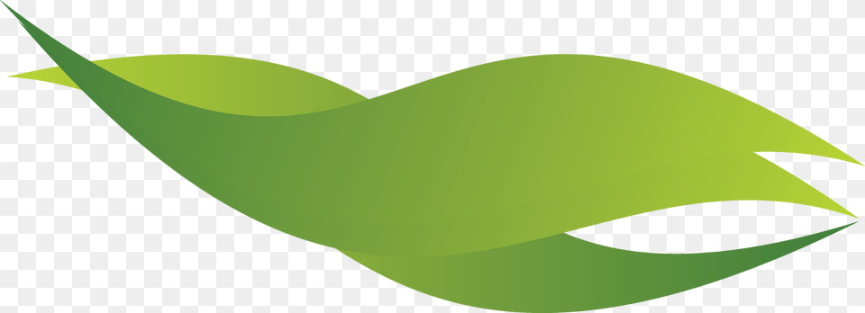 Green Wave Tree, Leaf, Plant, Animal, Fish Free Transparent Png