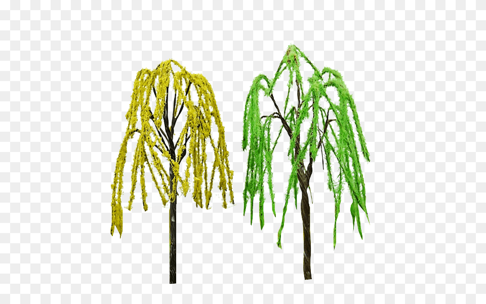 Green Weeping Willow Tree Architectural Mini Trees Model Train Ho, Conifer, Plant, Larch Free Transparent Png