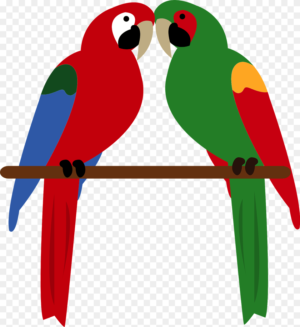 Green Winged Military Macaw Clipart, Animal, Bird, Parrot Png