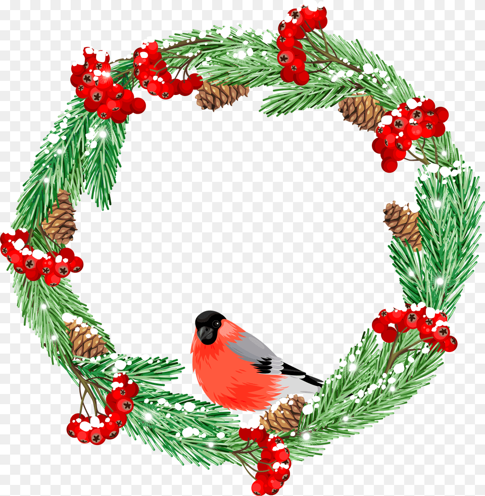 Green Winter Wreath With Bird Clip Art Image Flower Pic Winter Transparent, Animal, Plant Free Png