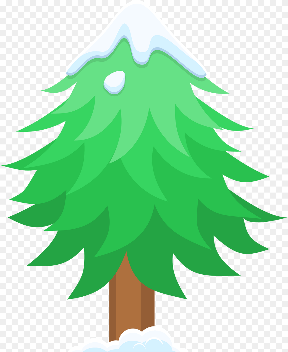 Green Wintertree Clipart, Plant, Tree, Pine, Fir Free Png