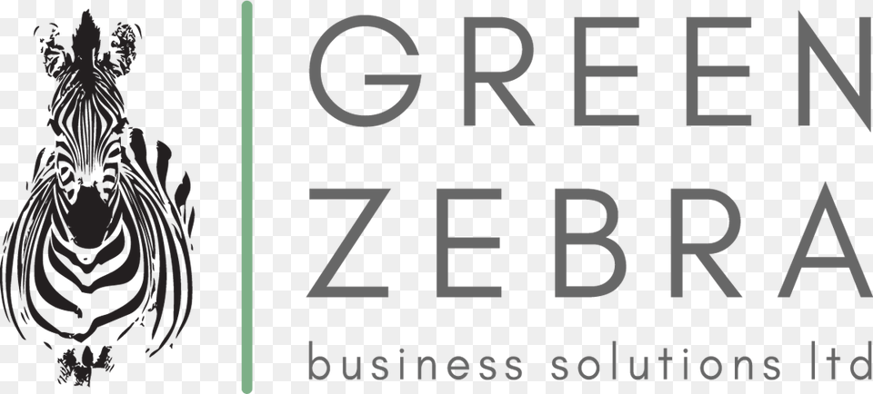 Green Zebra Business Solutions Santiago De Quertaro, Book, Publication, Text, Person Png