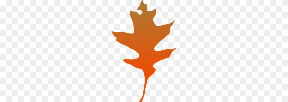 Greenery Leaf, Plant, Maple Leaf, Tree Free Png