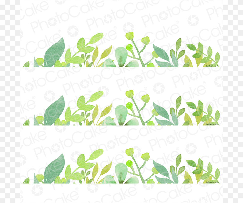 Greenery, Herbal, Herbs, Leaf, Plant Free Png Download