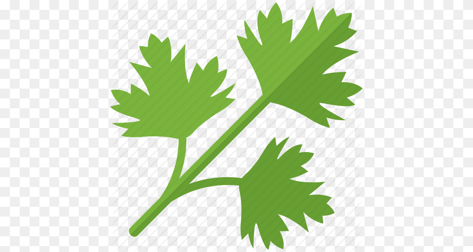 Greenery Plant Sheet Stalk Icon, Herbs, Leaf, Parsley Free Png Download